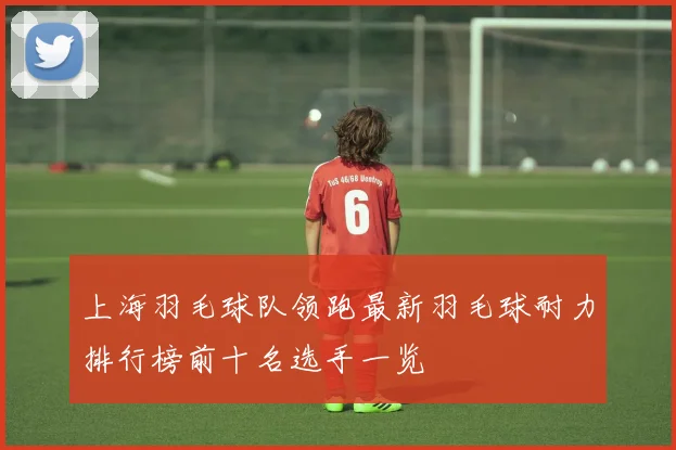 上海羽毛球队领跑最新羽毛球耐力排行榜前十名选手一览