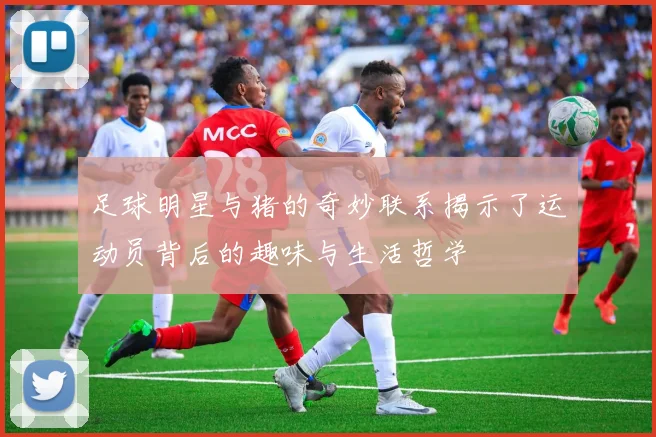 足球明星与猪的奇妙联系揭示了运动员背后的趣味与生活哲学