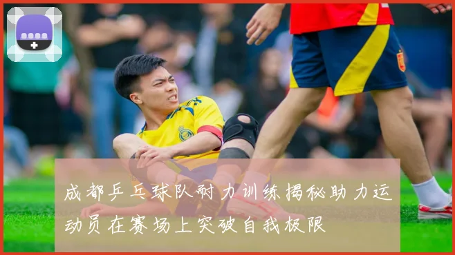 成都乒乓球队耐力训练揭秘助力运动员在赛场上突破自我极限