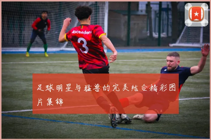 足球明星与猛兽的完美结合精彩图片集锦