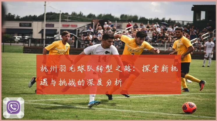 杭州羽毛球队转型之路：探索新机遇与挑战的深度分析